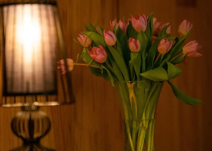 Zagroniowka Oda ve Kahvaltı 3*